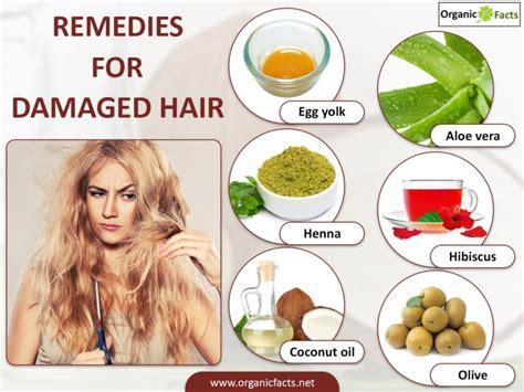10 Surprising Home Remedies For Damaged Hair Organic Facts