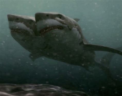 The film is directed by christopher ray, son of schlockmeister fred olen ray. Film Fan: 2-Headed Shark Attack (4 Stars)
