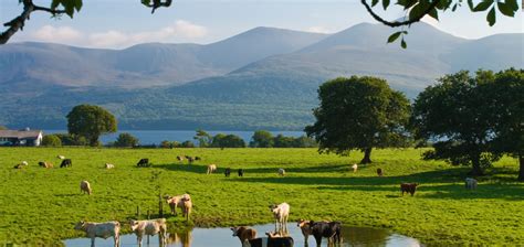 Best Places To Stay In Killarney Ireland The Hotel Guru