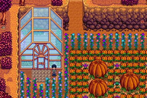 Best Crops For The Greenhouse In Stardew Valley High Ground Gaming