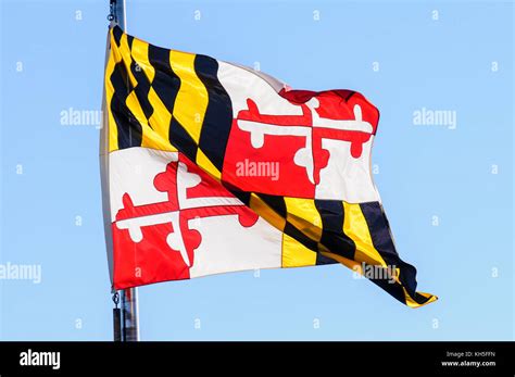 Maryland State Flag Stock Photo Alamy