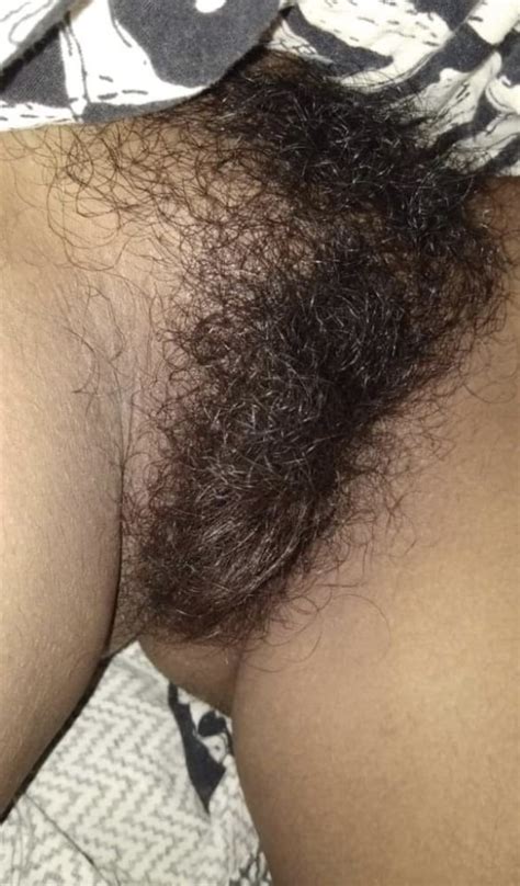 Collection Of Indian Hairy Pussy Pics