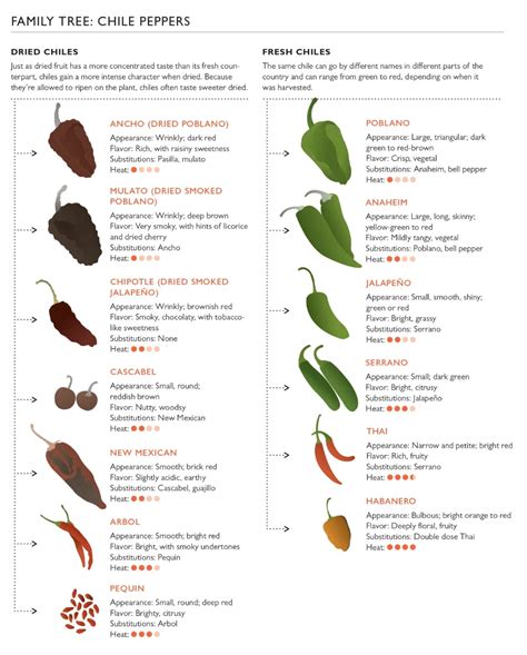 All You Need To Know About Dried Chiles Food Republic Stuffed