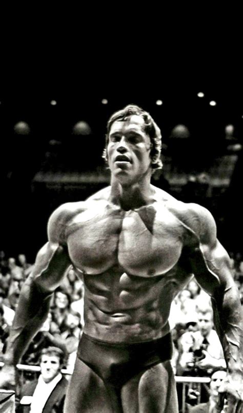 Arnold Conquer Leinwand Best Style News And Inspiration