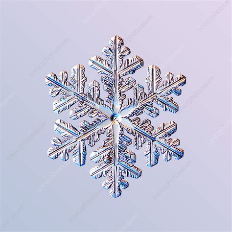 Snowflake Stock Image E1270412 Science Photo Library