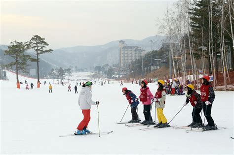 한국 최고의 스키 리조트 10곳 한국에서 겨울 스포츠를 즐기기 좋은 여행지 Best 10 Go Guides