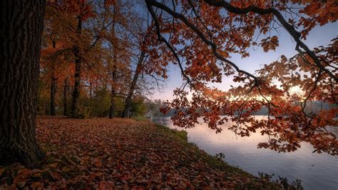 Autumn Nature Scenery Forest Fall Lake Coolwallpapersme