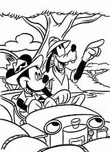 Mickey Mouse Coloring Safari Goofy Pages Drawing Thanksgiving Color Getdrawings sketch template