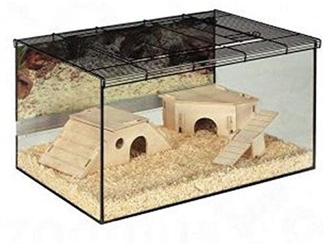 Spacious Small Pet Terrarium W Glass Walls And Mesh Roof W Ventilation Perfect For Small