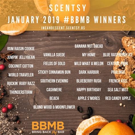 *extended through july 2020 while supplies last*. VANILLA SUEDE SCENTSY BAR | BRING BACK MY BAR JANUARY 2019 ...