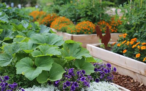 How To Design A Potager Vegetable And Flower Garden