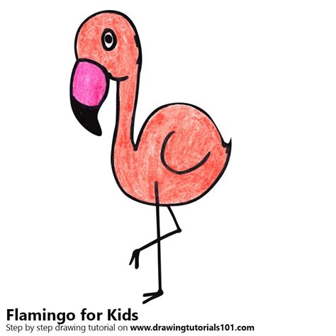 Cute Flamingos Drawing Get Images