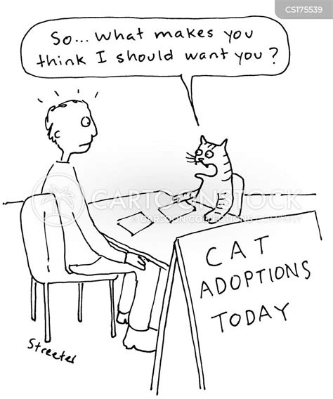 Cat Adoption Cartoons And Comics Funny Pictures From Cartoonstock
