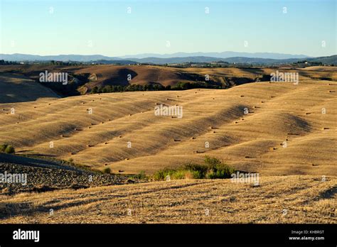 Italy Tuscany Crete Senesi Countryside Stock Photo Alamy