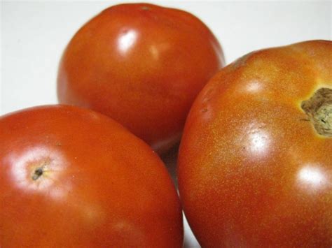 Tomato Red Brandywine Potato Leaf Seeds Certified Organic Garden