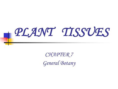 Ppt Plant Tissues Powerpoint Presentation Free Download