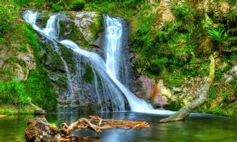 Forest Waterfall Desktop Background 597823