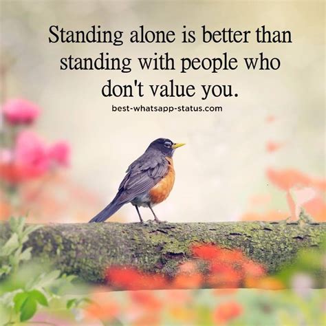 No beauty shines brighter than that of a good heart. 111+ Awesome DP Captions Best Instagram Bios Status For DP