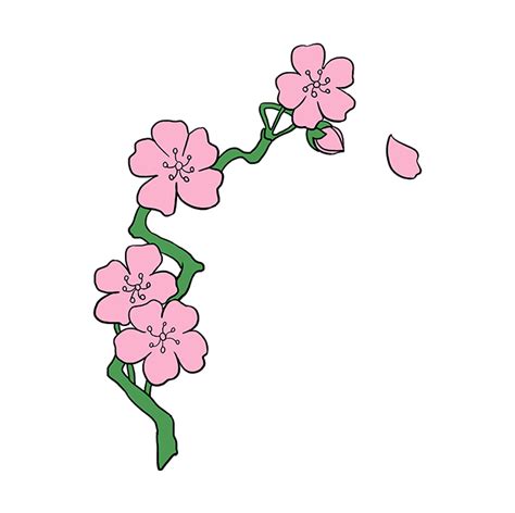 Orasnap Cherry Blossom Simple Flower Tree Drawing