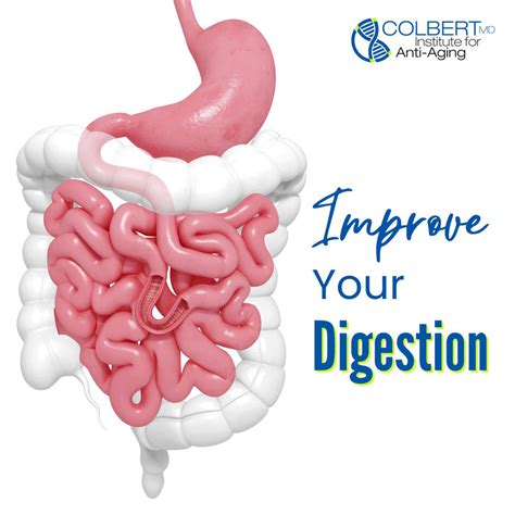 Improve Your Gut Digestion Southlake Texas Colbert Institute Of Anti