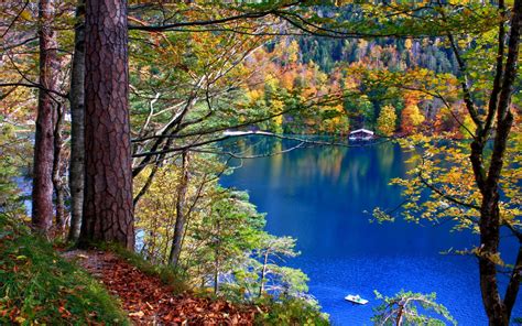 Nature Lakes Trees Forest Leaves Water Reflection Autumn