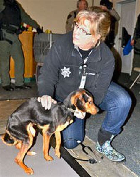 Eugene, or 97402 united states. Defendants in Marion County neglect case release dogs to ...
