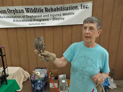 A Day In The Life Of Fran Kitchen Rehabilitating Orphan And Injured