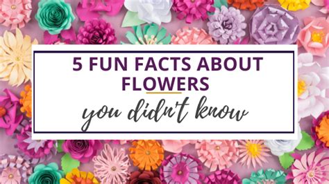 5 Fun Facts About Flowers For Kids Who Love Them Julie Naturally