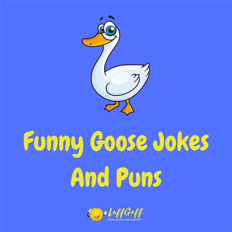 30 Hilarious Goose Jokes And Puns Laffgaff