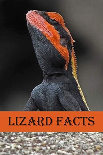 Lizard Facts Photobook Of Lizard Facts With Real Images And Facts That