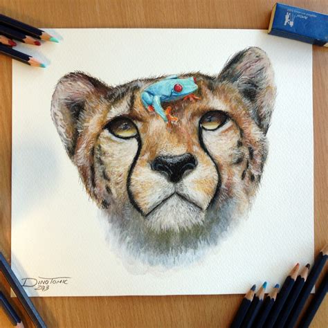 Cheetah And A Frog Pencil Drawing By Atomiccircus On Deviantart