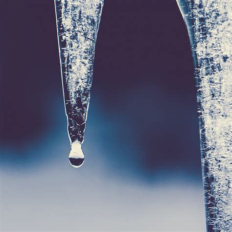 Free Images Water Snow Cold Winter Drop Dew Light Motion Ice