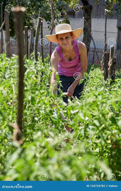 Gardener Lady Watering The Plants Stock Image Image Of Nature