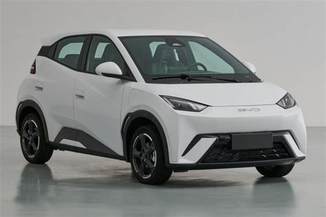 Cheap Electric Car Model Revealed About To Open For Sale With The