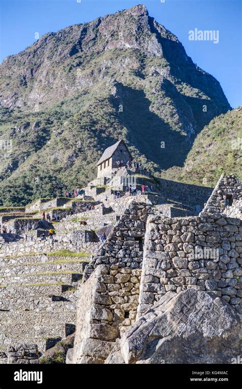 Terraces And Montana Machu Picchu Peak In Peru Stock Photo Alamy