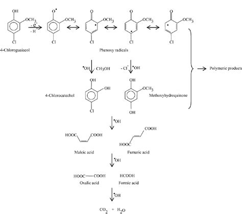 Proposed Reaction Pathway Of The Electrochemical Degradation Of Cg At
