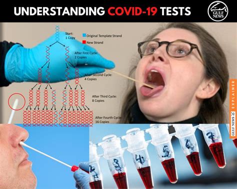 How COVID Test Works Know The Basics World Gulf News
