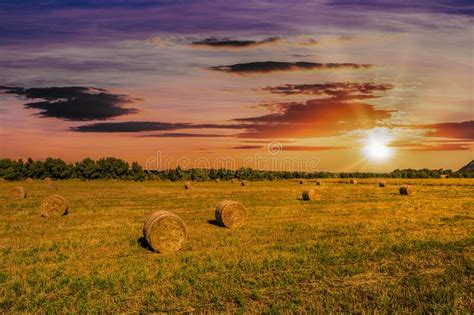 Landscape Of Field With Bales Of Hay At Sunset Stock Photo Image Of