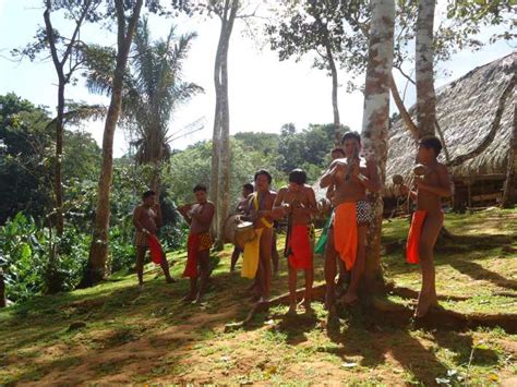 panama city embera indigenous village experience getyourguide