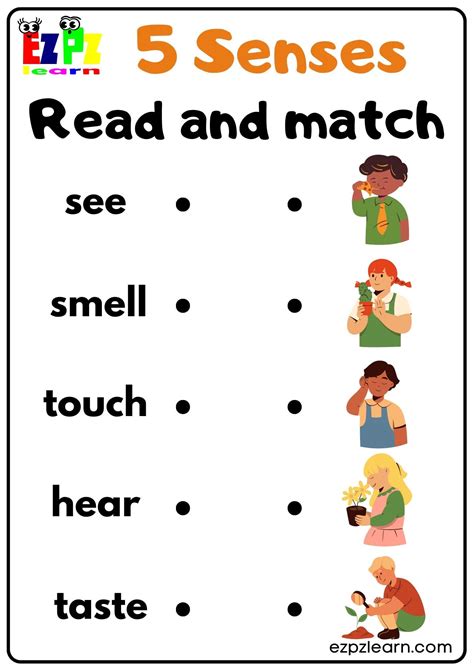 Five Senses Read And Match Worksheet For Kindergarten And Esl Students