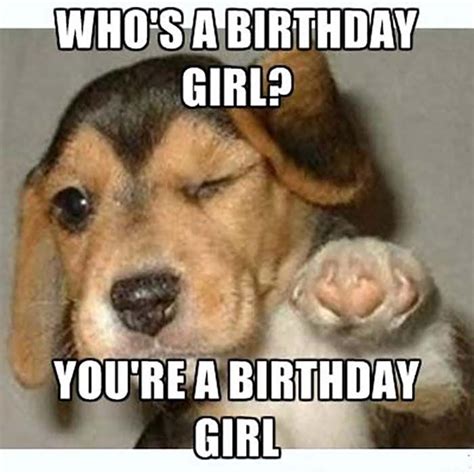 🐶 29 Funniest Happy Birthday Dog Meme Funny Happy Birthday Meme