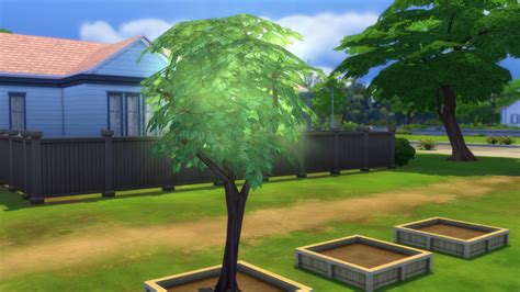 The Sims 4 Spring Challenge 2016 Tutorial