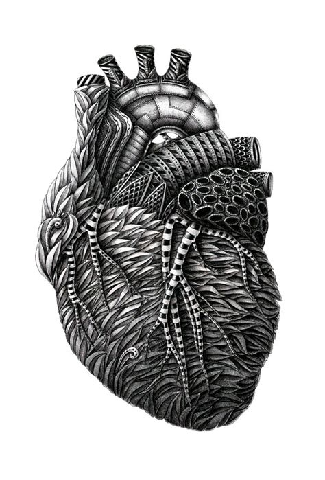 Incredibly Intricate Ink Illustrations By Alex Konahin Just Imagine
