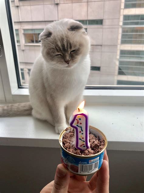 Its Her Very First Birthday Raww