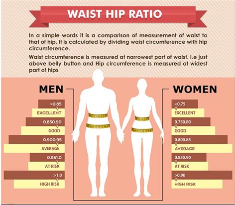 Waist Hip Ratio Image 3 Hci Healthcare Limited