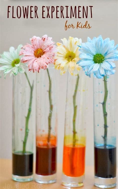 Experimentos Colores 4 Science Experiments Kids Spring Activities