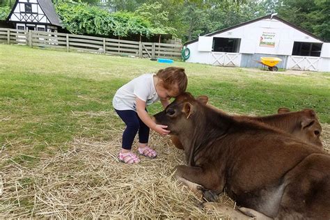 Farmer darryl's mobile animal farm both educates and entertains children of all ages with his variety of farm animals. Petting Zoos Near NYC Where Kids Can See Farm Animals ...