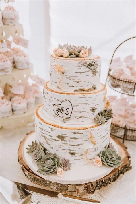 Rustic Wedding Cakes Ideas In Wedding Cake Rustic Succulent Wedding Cakes Cactus