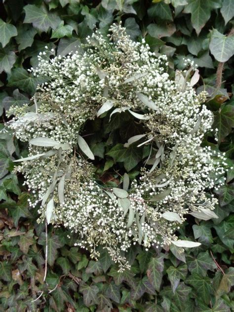 16 Dried Rustic Wreath Babys Breath And Seeded Wedding Flower
