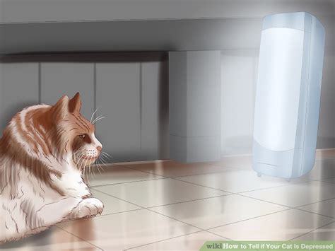 My little daughter was (amused) by the clown. 3 Ways to Tell if Your Cat Is Depressed - wikiHow